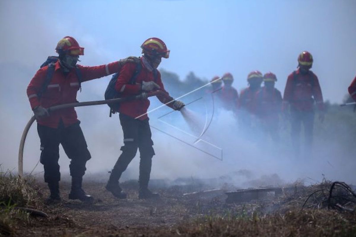 Sumatera Selatan andalkan kolaborasi multipihak cegah karhutla