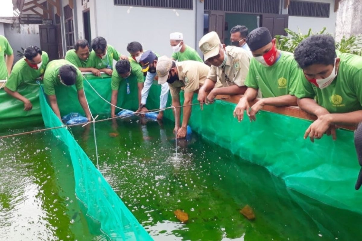 Budidaya ikan di Kotim masih menjanjikan