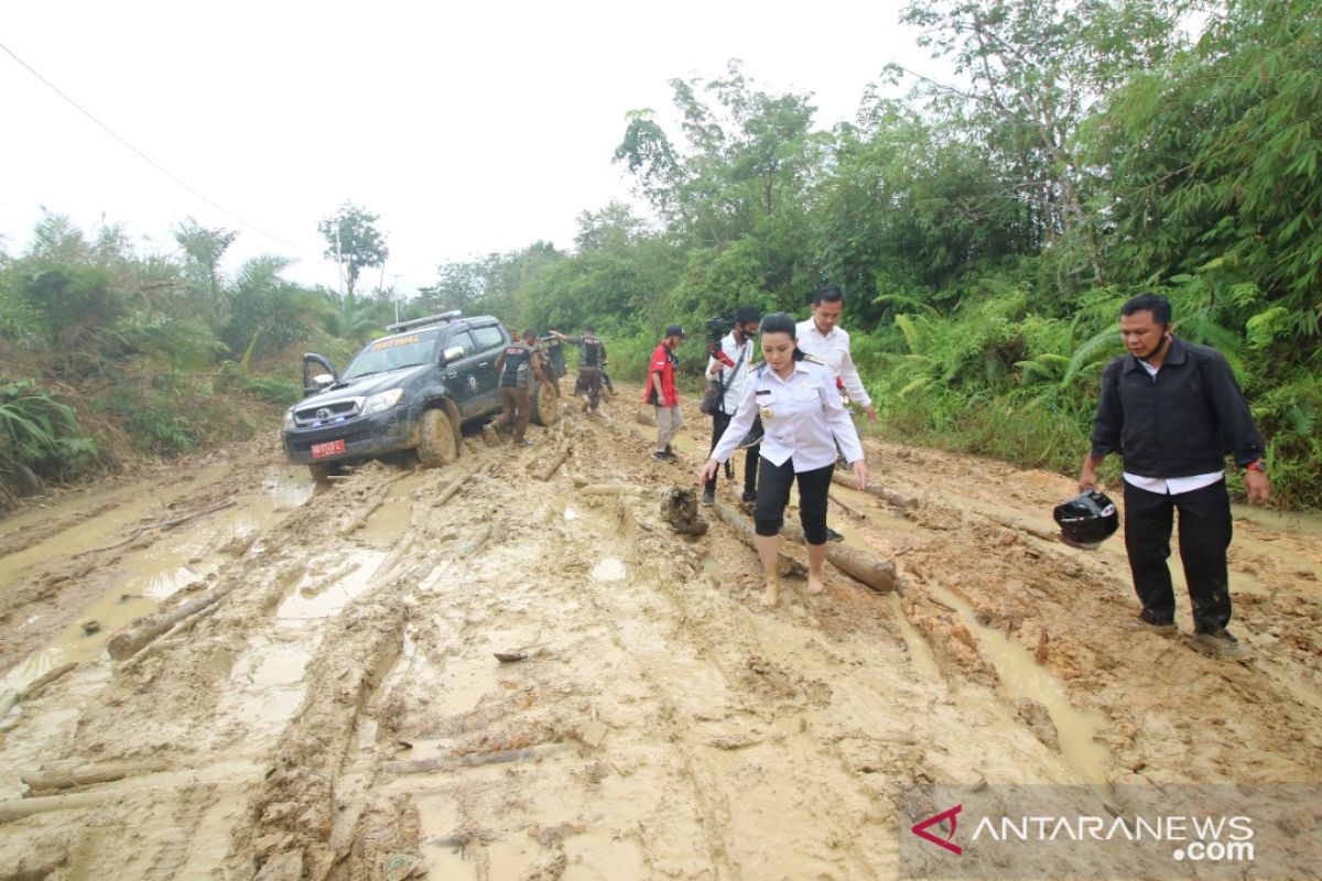 Karolin pantau sejumlah jalan yang rusak dalam kunjungan kerjanya