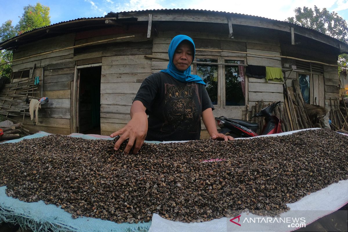 Ditunda, pemberangkatan 10 KK calon transmigran asal Yogyakarta