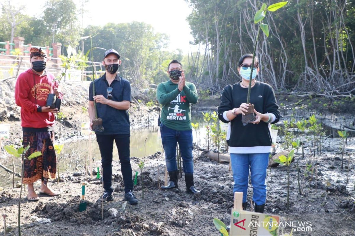 Putri Koster: kawasan mangrove tanggung jawab bersama