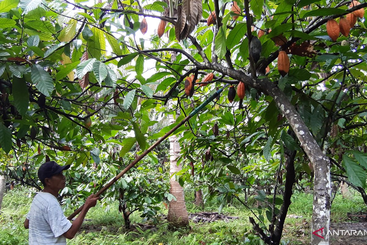 Bupati Gorontalo: Dusun Tumba dijadikan pusat pertanian organik