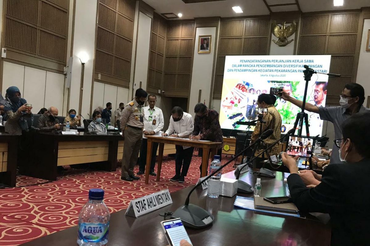 Unhas terlibat pengembangan diversifikasi pangan lokal program Kementan