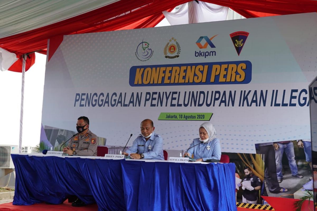 KKP-Polri gagalkan penyelundupan 54,9 ton ikan patin