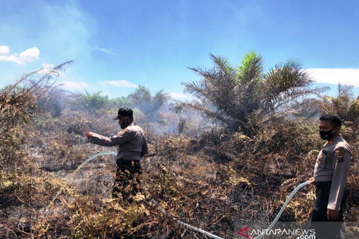 Tim gabungan Polres Tapsel berjibaku padamkan kebakaran lahan Manompas