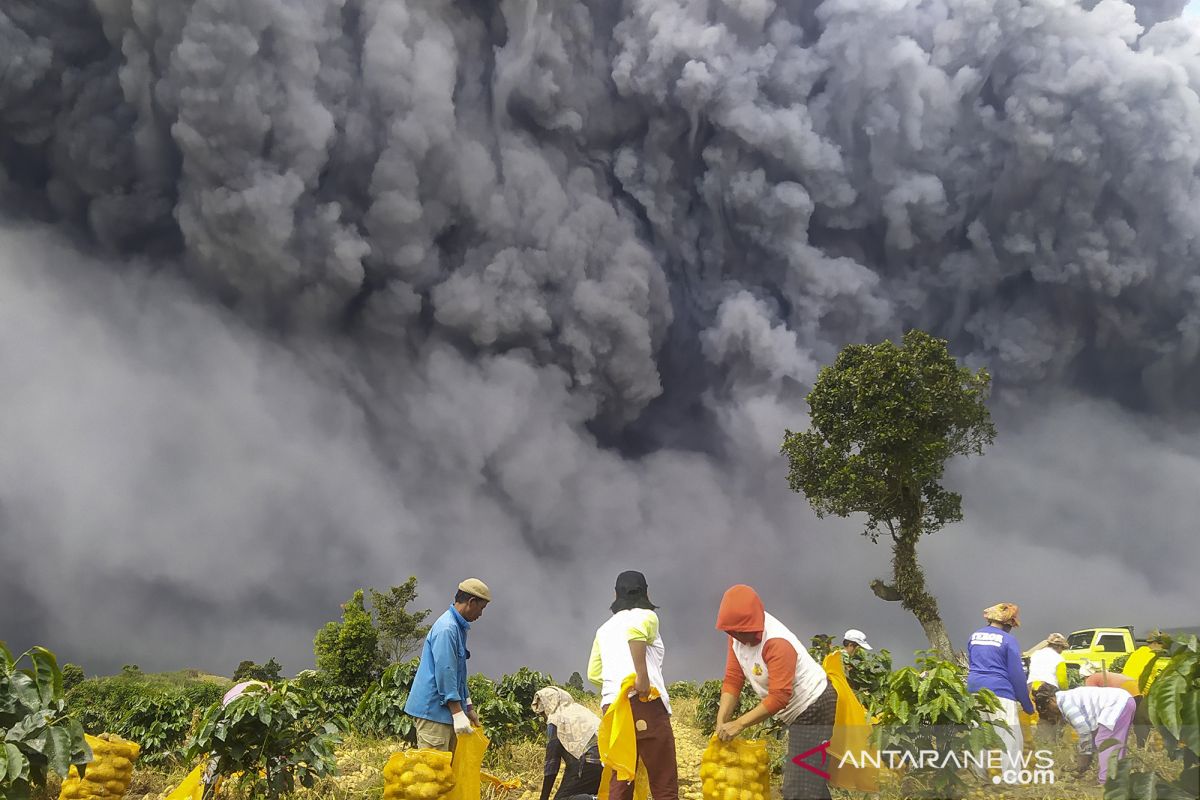 Letusan Sinabung diprediksi hingga ke Malaysia