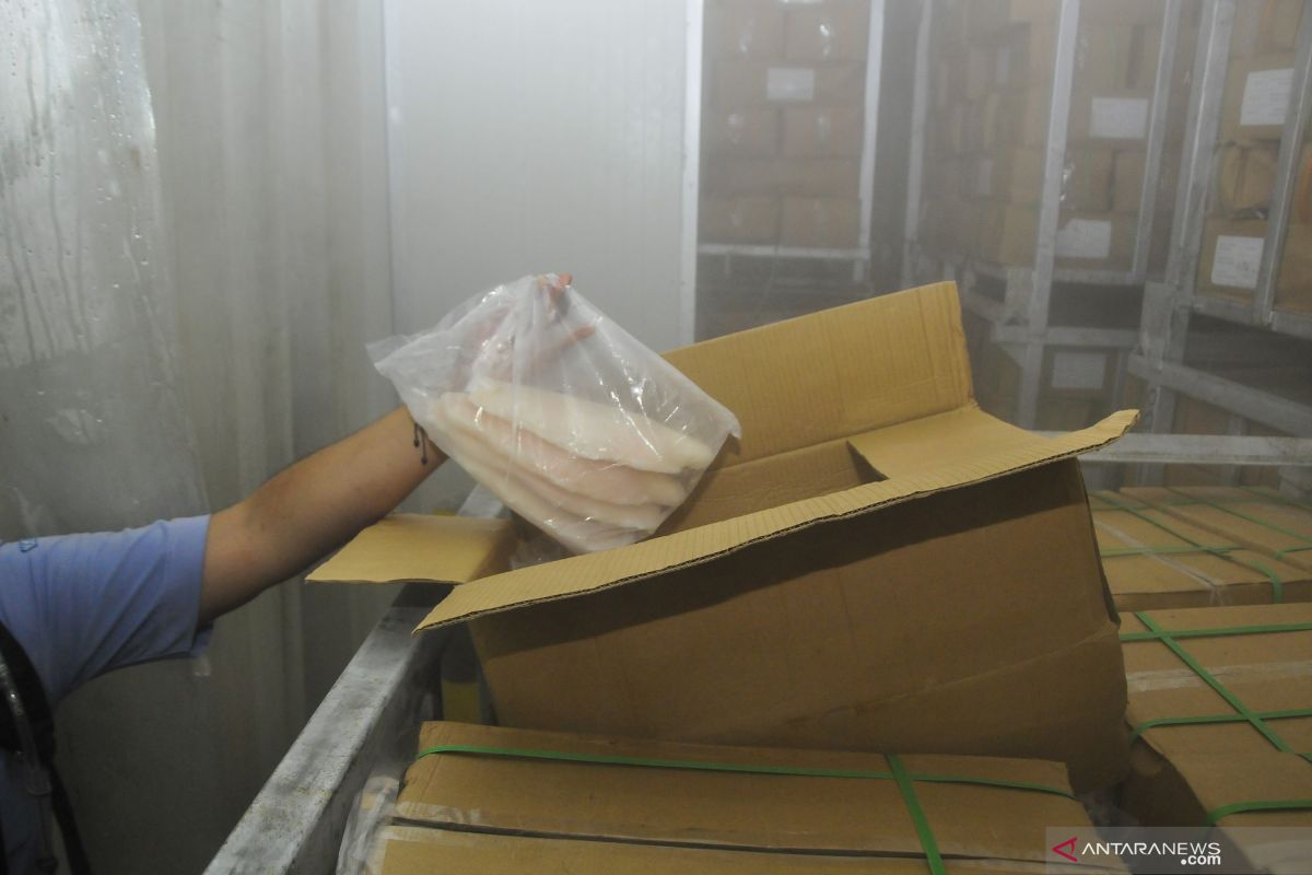 KKP gandeng Polri ungkap kasus penyelundupan ikan patin