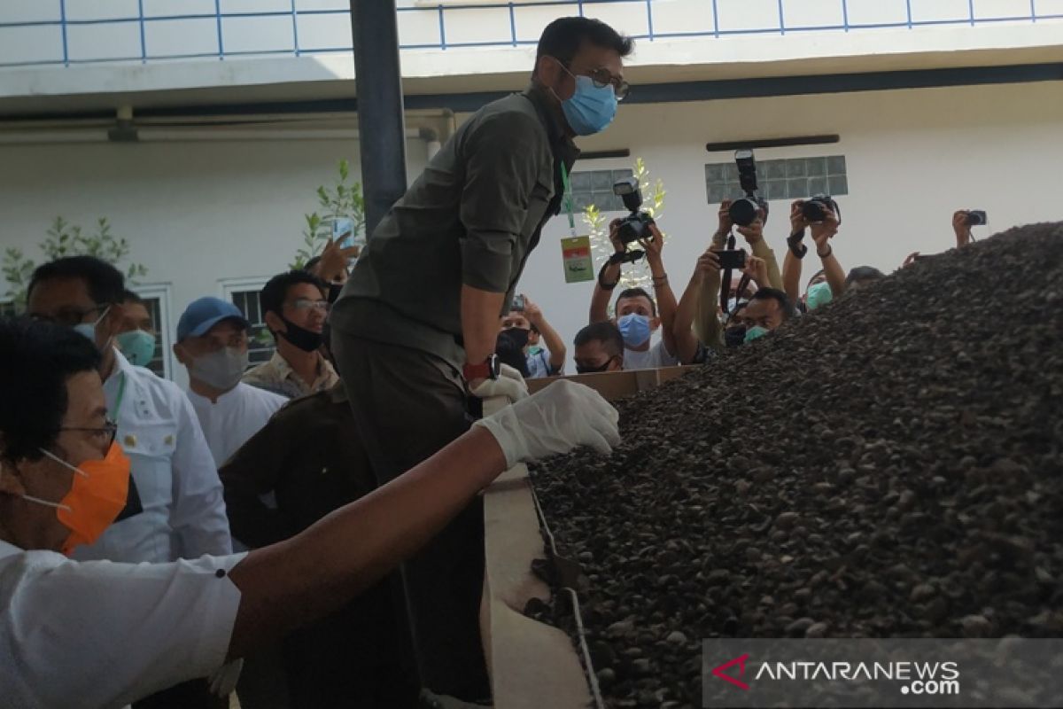 Bangka Belitung bangun pabrik  tandan kering sawit