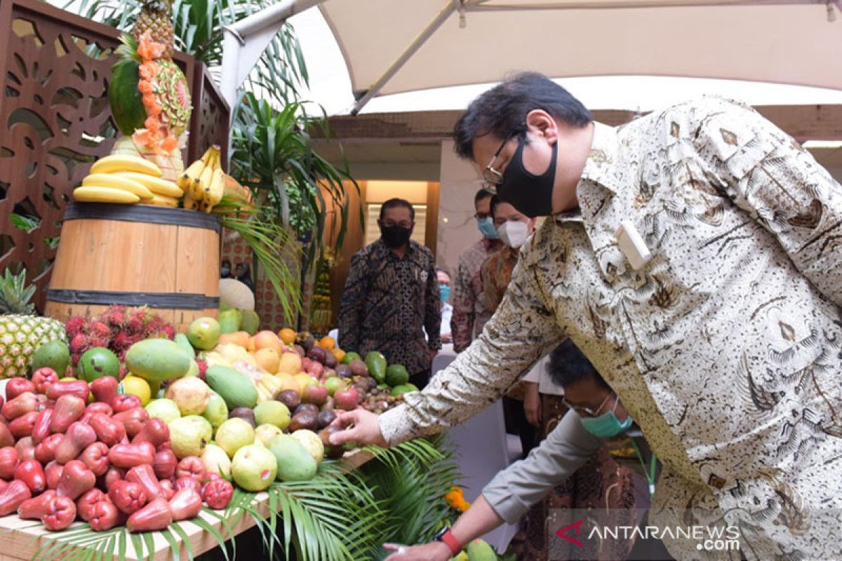 Pemerintah catat ekspor buah lokal selama pandemi meningkat tajam