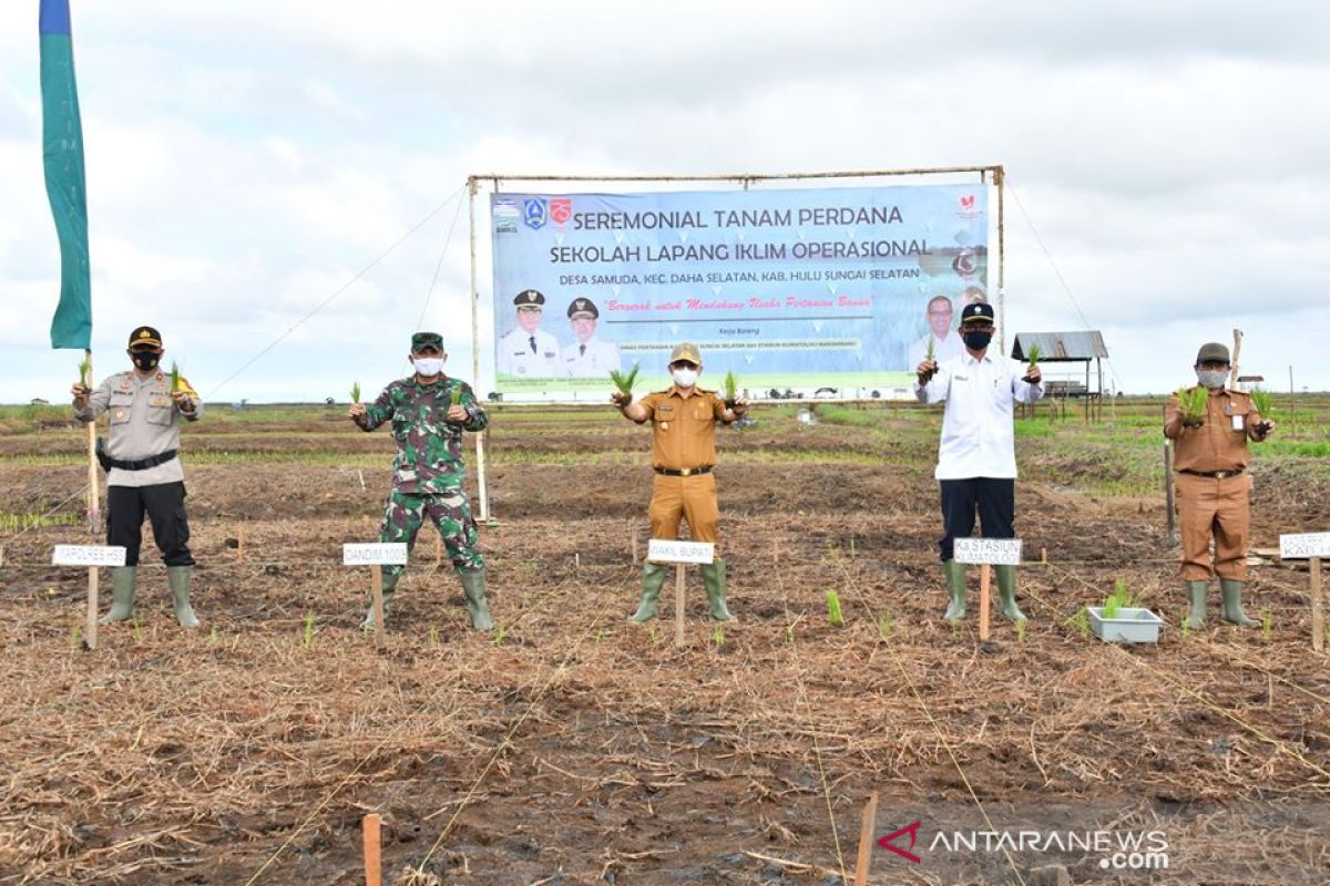 Unik tanam perdana musim kemarau, Sekolah Lapang Iklim di Desa Samuda