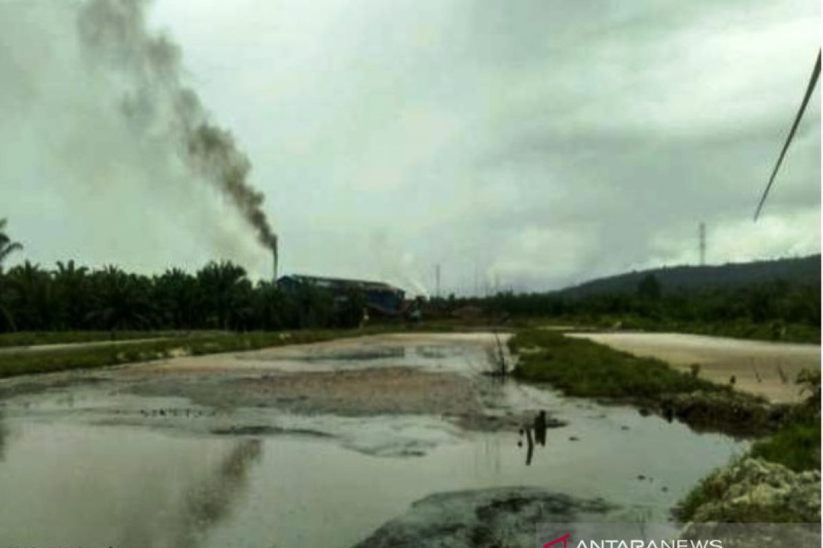 Walhi desak KLH Aceh usut pencemaran limbah PKS di Nagan Raya