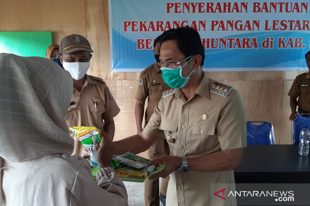 Pemkab Sigi maksimalkan program pekarangan pangan lestari