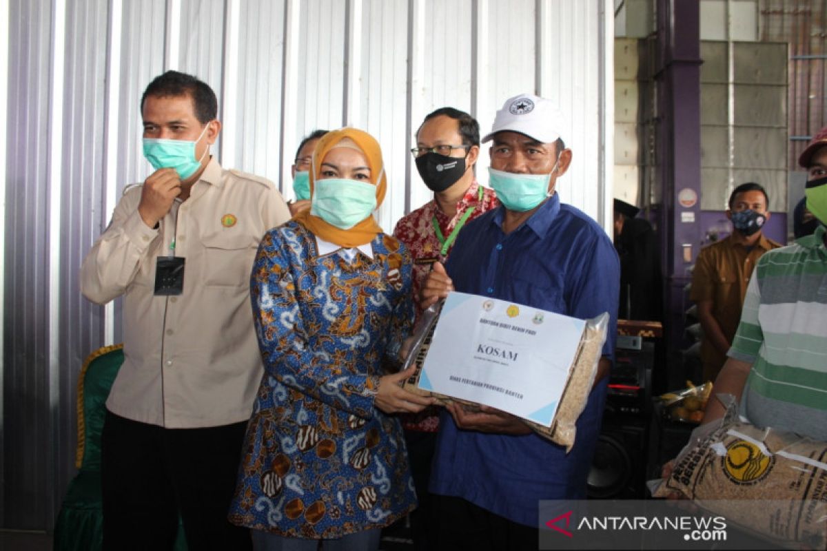 Serap Aspirasi, Anggota DPR RI Kunjungi Petani Kabupaten Serang