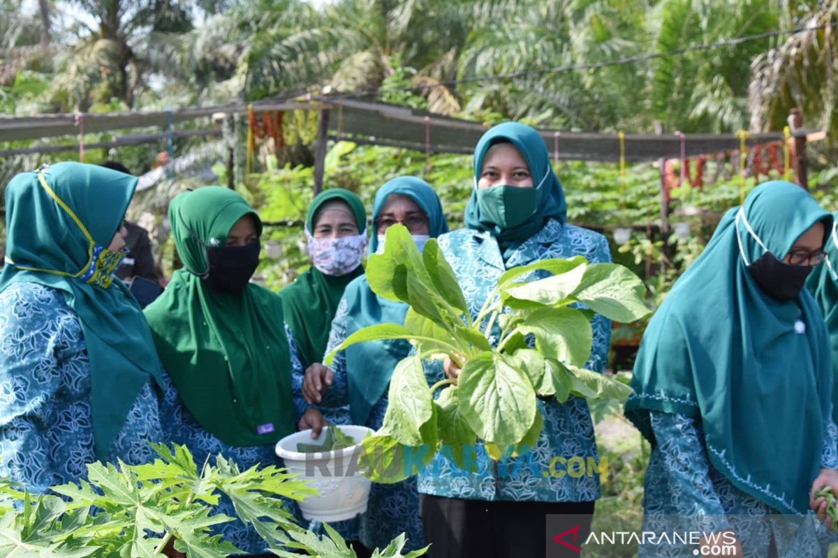 PKK Inhu wakili Riau tingkat nasional 2020