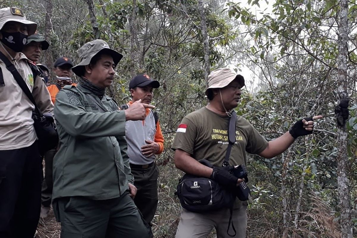 Seekor lutung Jawa ditemukan mati mengenaskan di Malang