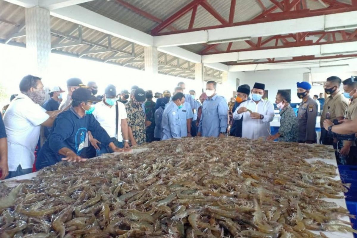 Menteri Edhy: Pemerintah beri kemudahan izin perusahaan tambak udang