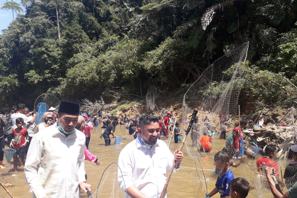 Anggota DPD RI, Cawagub dan Cabup hadiri tradisi buka ikan larangan di Lubuk Godang Pasaman Barat (Video)