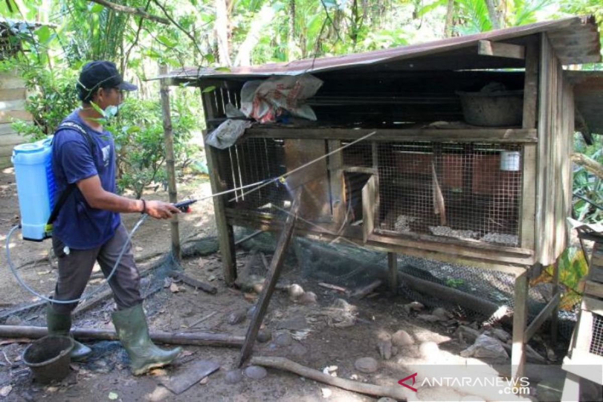 Aceh Barat disinfektan kandang ayam warga cegah wabah tetelo