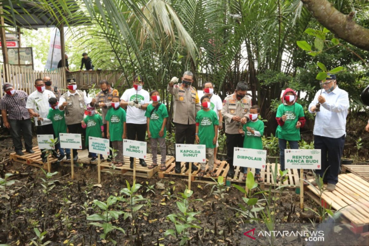 Pelindo 1 tanam 2020 bibit mangrove