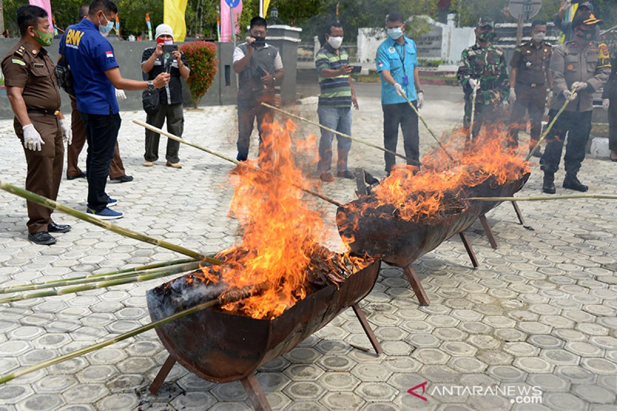 Pemusnahan ganja dan sabu