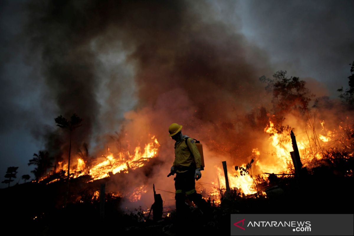 Brazil butuh bantuan Rp145 triliun setahun untuk netralitas karbon