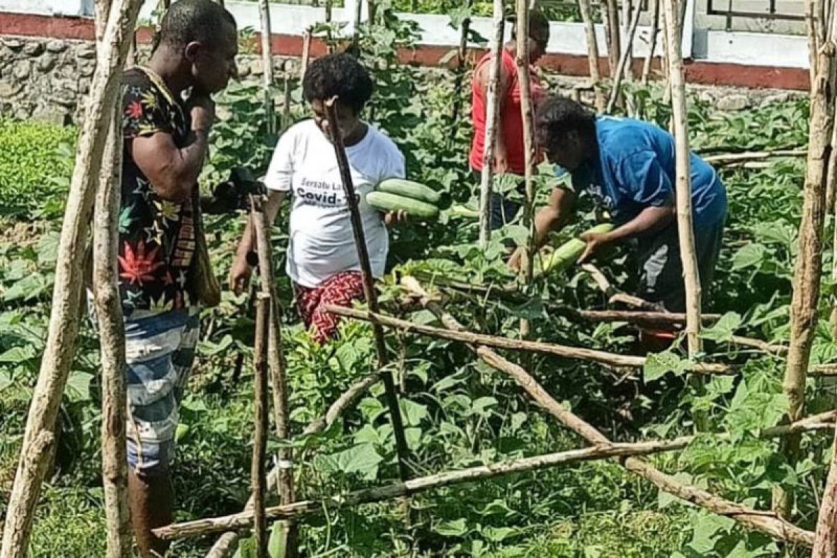 Pemkab Jayapura jadikan kampung sumber ekonomi baru