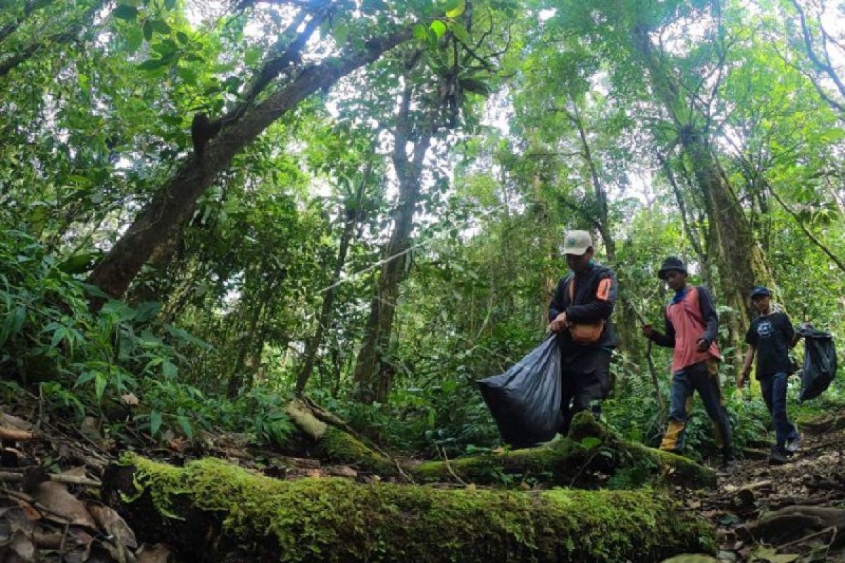 Memungut sampah di Gunung Kerinci peringati Hari Konservasi Alam Nasional 2020