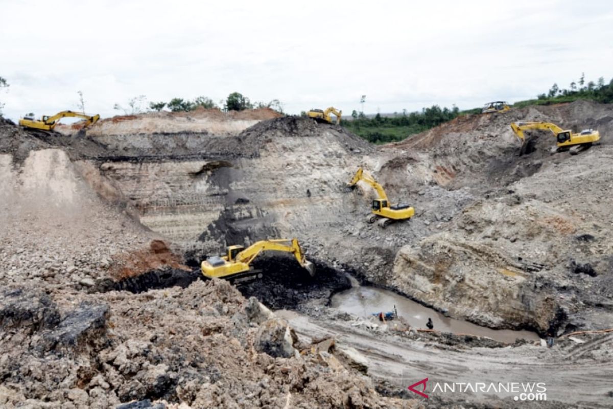 Seorang pria tewas saat survei pertambangan batu bara