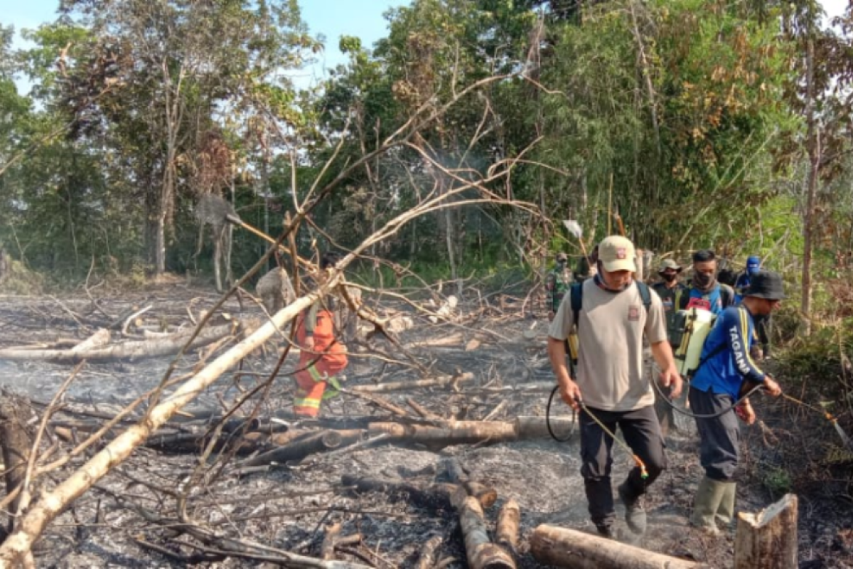 Tim gabungan padamkan api di ladang milik warga Kedamin Hulu