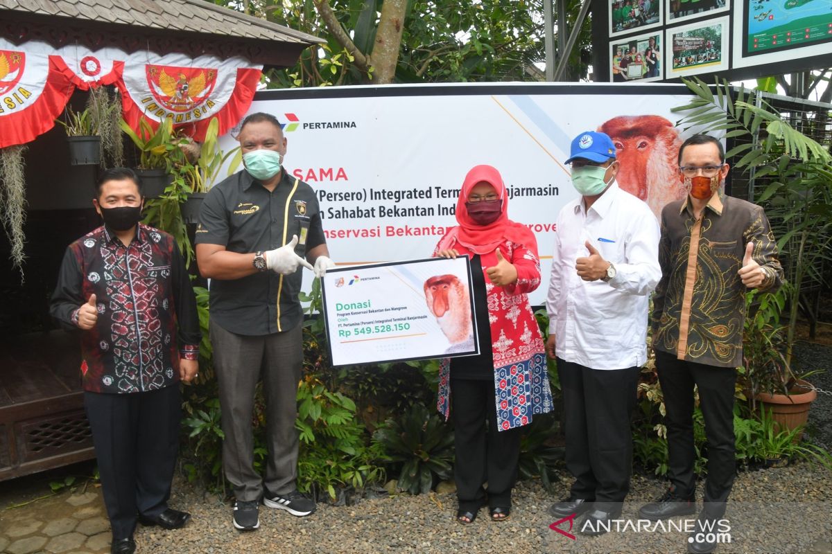 Dana CSR Pertamina untuk lestarikan Bekantan