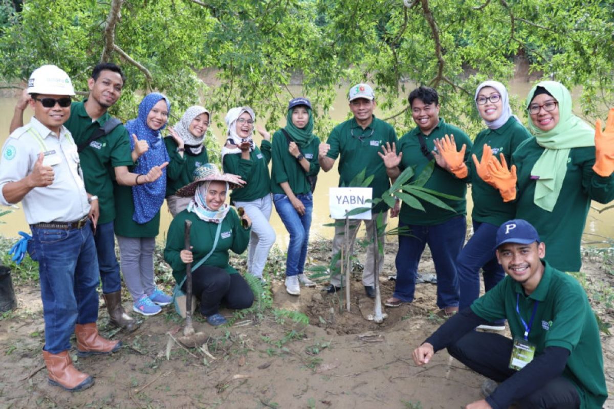 YABN helps Tabalong to handle critical land by planting bamboo