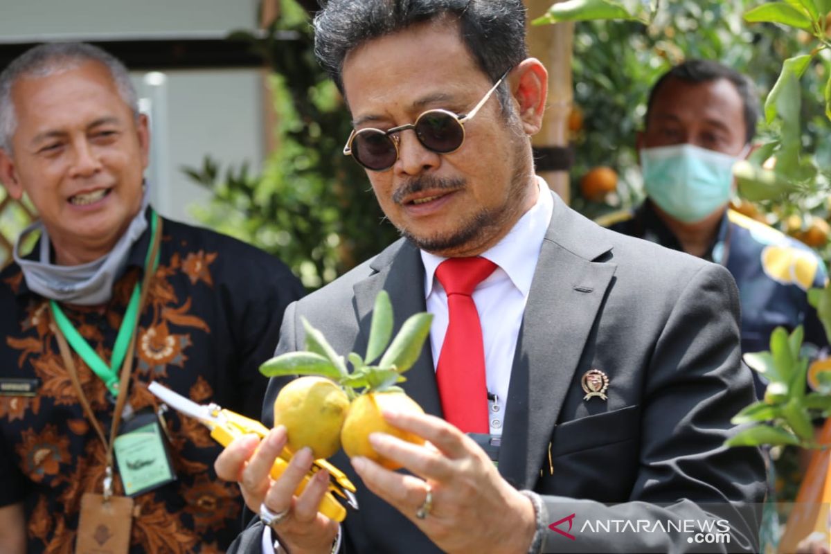 Mentan luncurkan Taman Sains Pertanian Jeruk