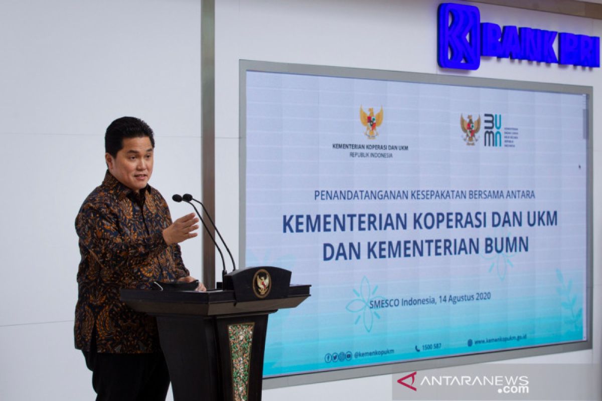 Menteri BUMN Erick dorong Pelabuhan Teluk Benoa jadi pariwisata maritim