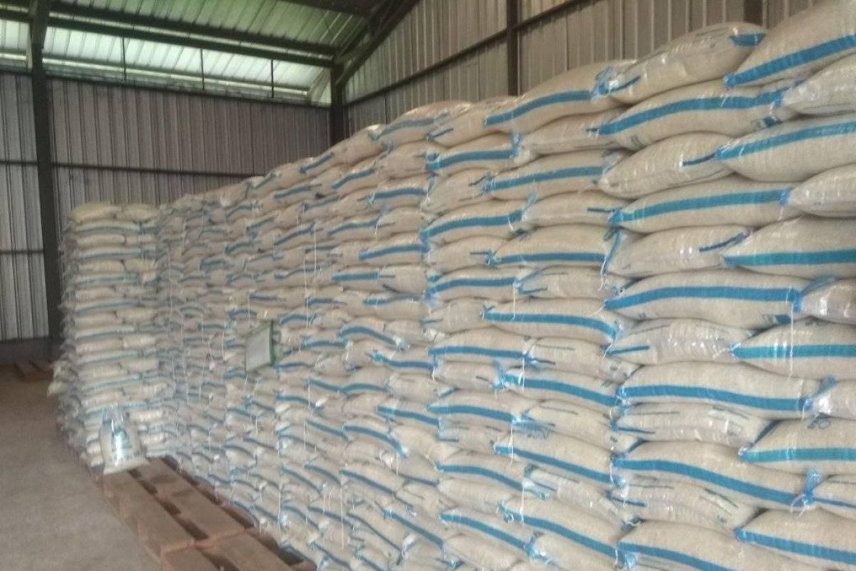 Stok beras Bulog Sumut  25.000  ton