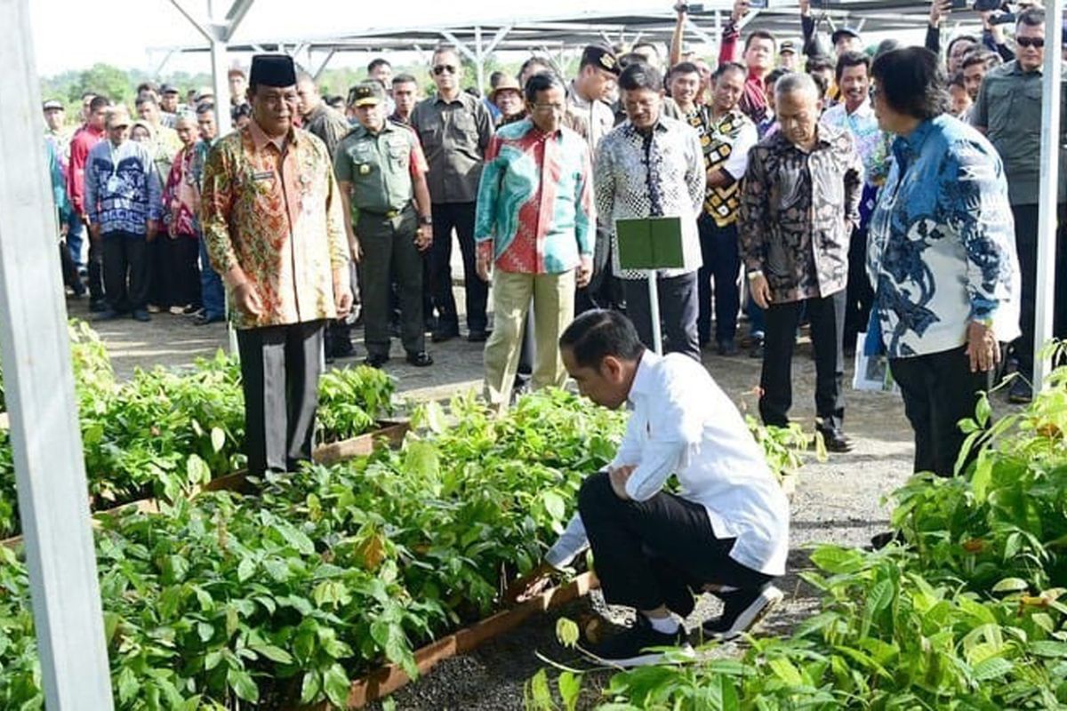 Lapsus - Mentan: Presiden Akui Pertanian Kalsel