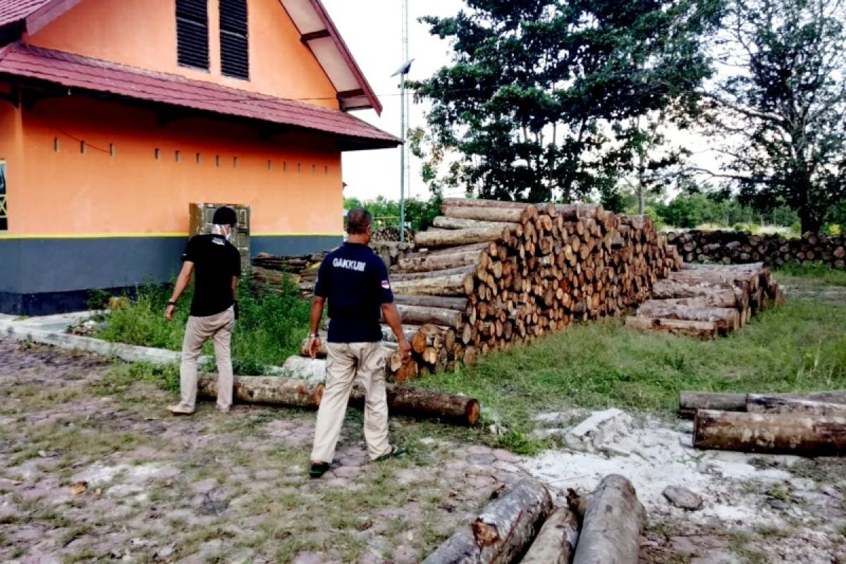 Gakkum KLHK berhasil amankan sejumlah kayu ilegal di Kobar