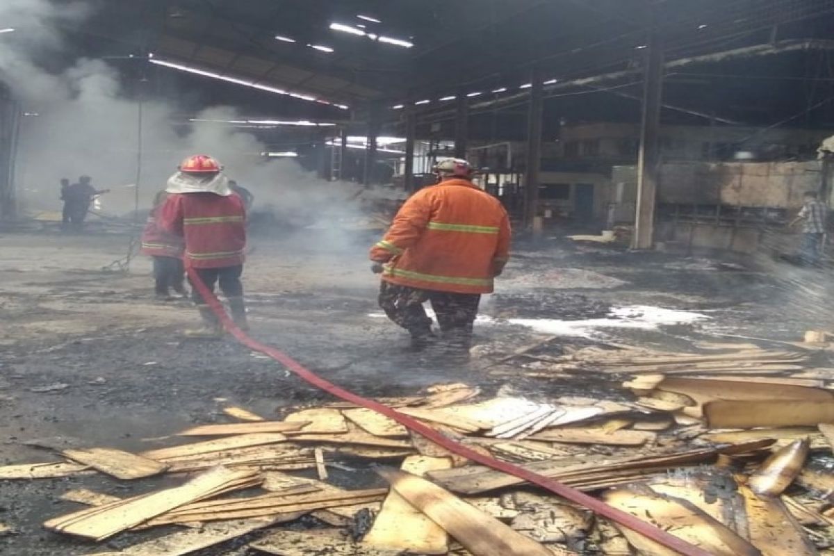 Pabrik pengolahan kayu di Desa Payar Pasir terbakar