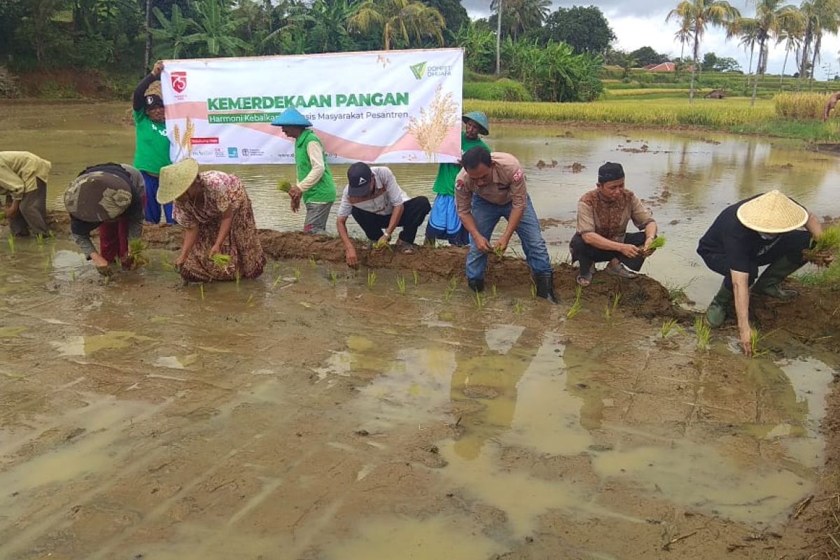 Dompet Dhuafa siapkan 1.000 ha sawah irigasi dukung ketahanan pangan