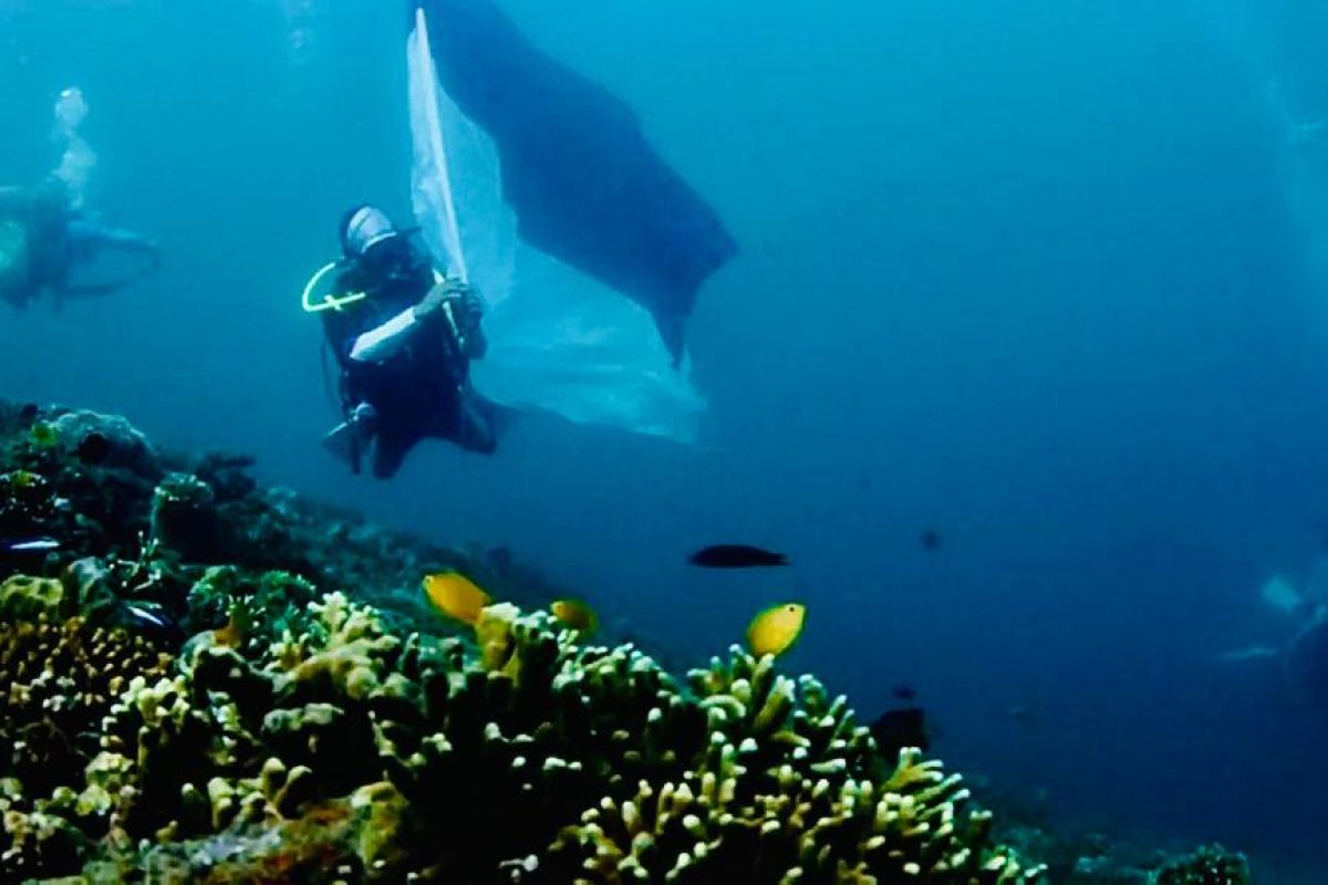 Raja Ampat konvoi bendera bawah laut