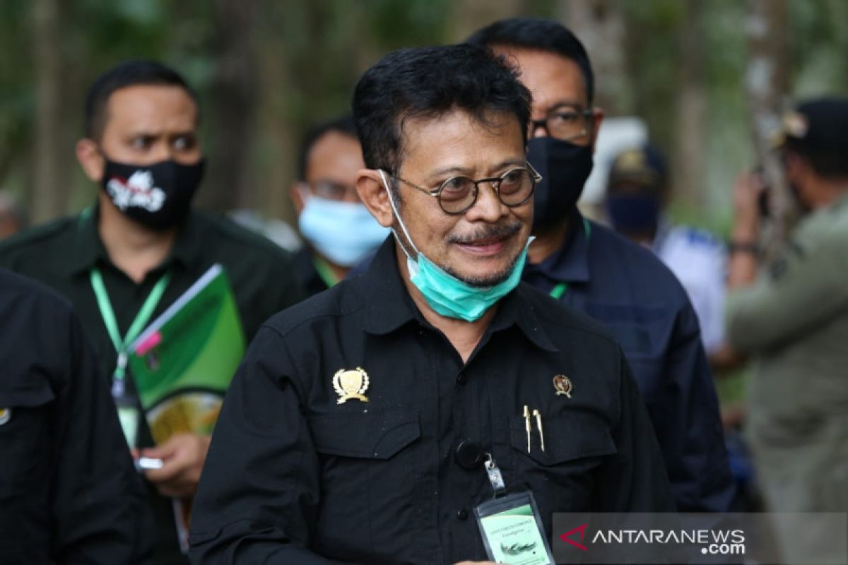 HUT ke-75 RI, Mentan sebut momen bangkitkan korporasi tanaman pangan