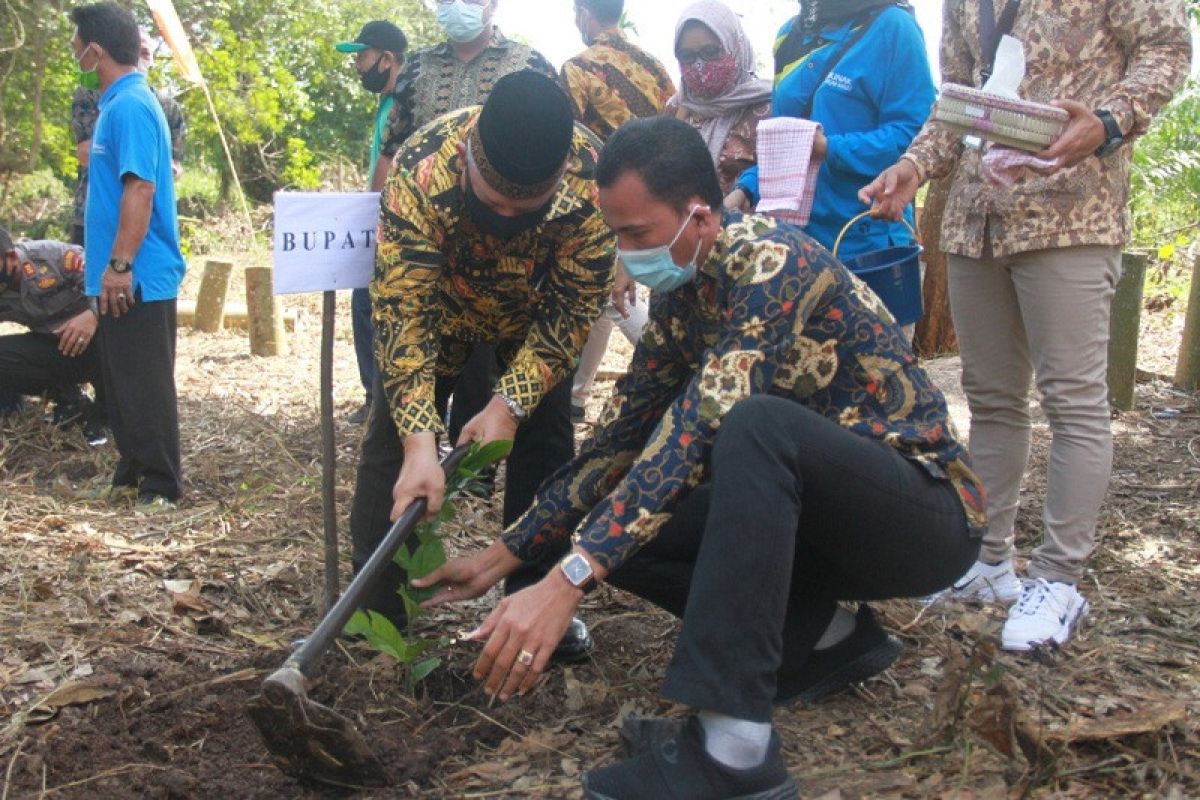 Bupati Tanjabbar totalitas kembangkan kopi liberika, resmikan gedung produksi dan showroom pemasaran