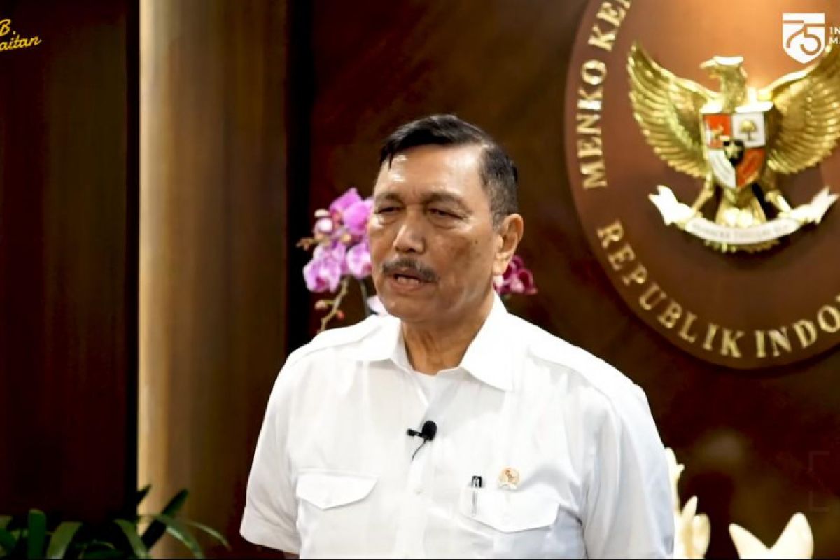 Luhut: Pandemi kuatkan persatuan dan kesatuan Indonesia