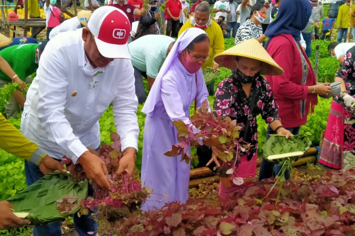 Bupati Malra : Kerja keras buahkan hasil bagi banyak orang