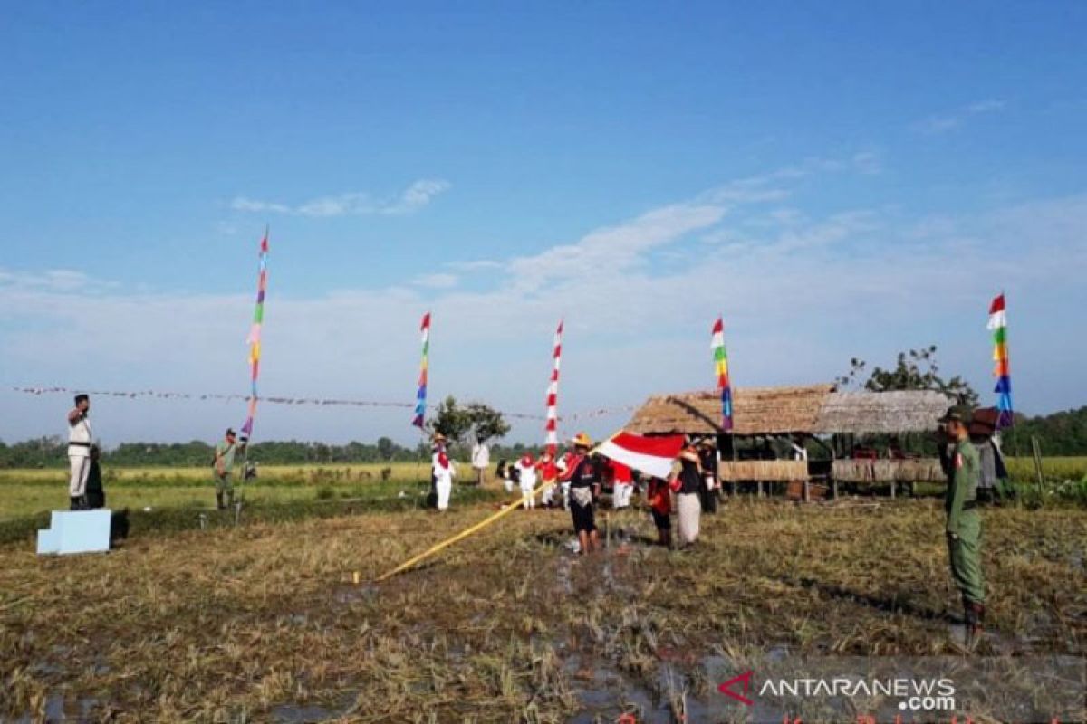 Petani pesisir Kotim peringati HUT Kemerdekaan di tengah sawah