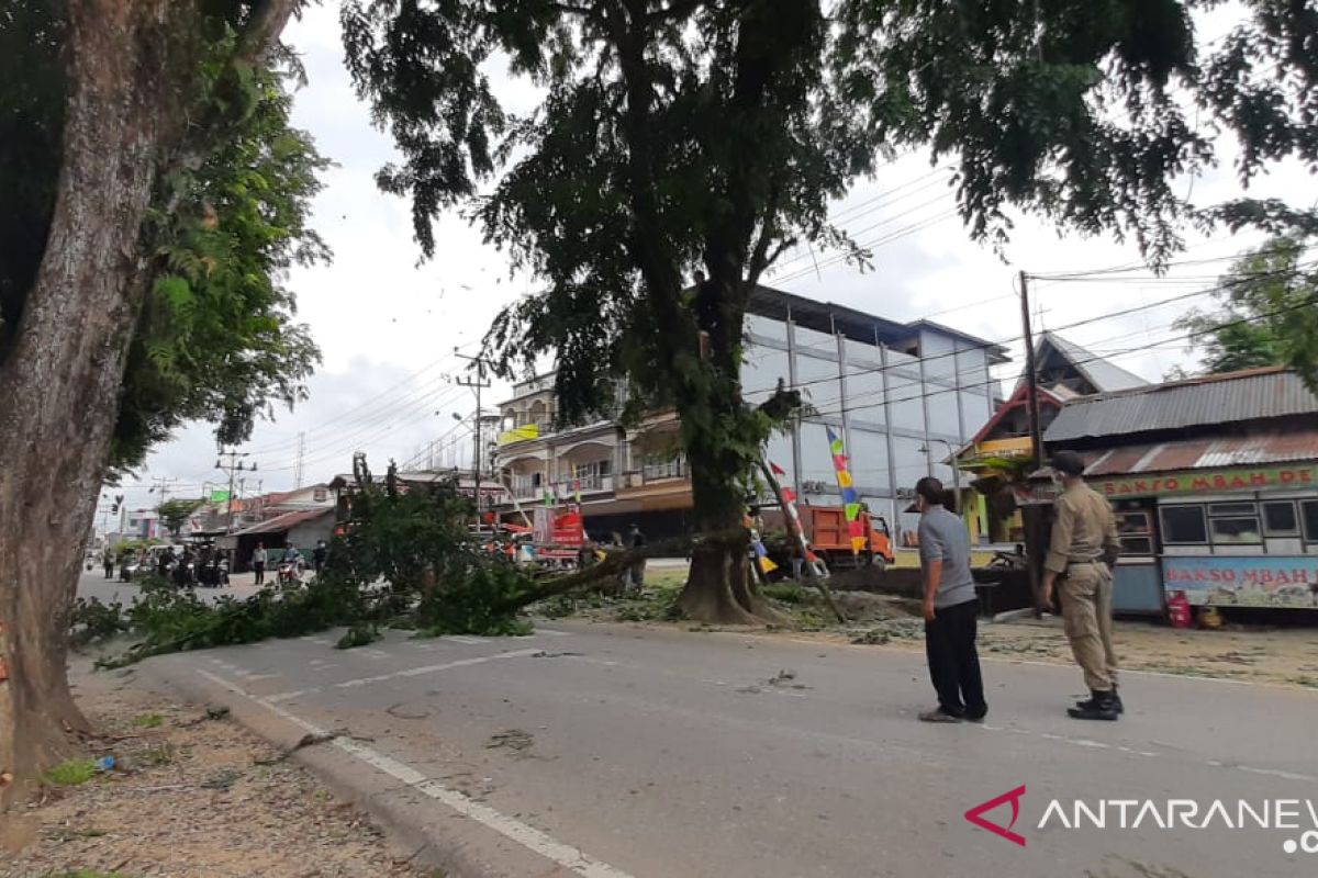 PLN Ngabang dan Satpol PP Landak pangkas pohon untuk jaringan listrik