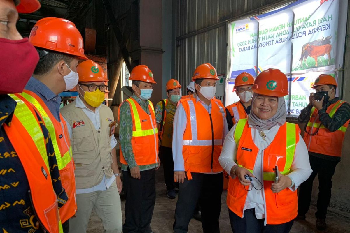 Kemenko Marves siap membantu pengembangan program JOSS PLN NTB