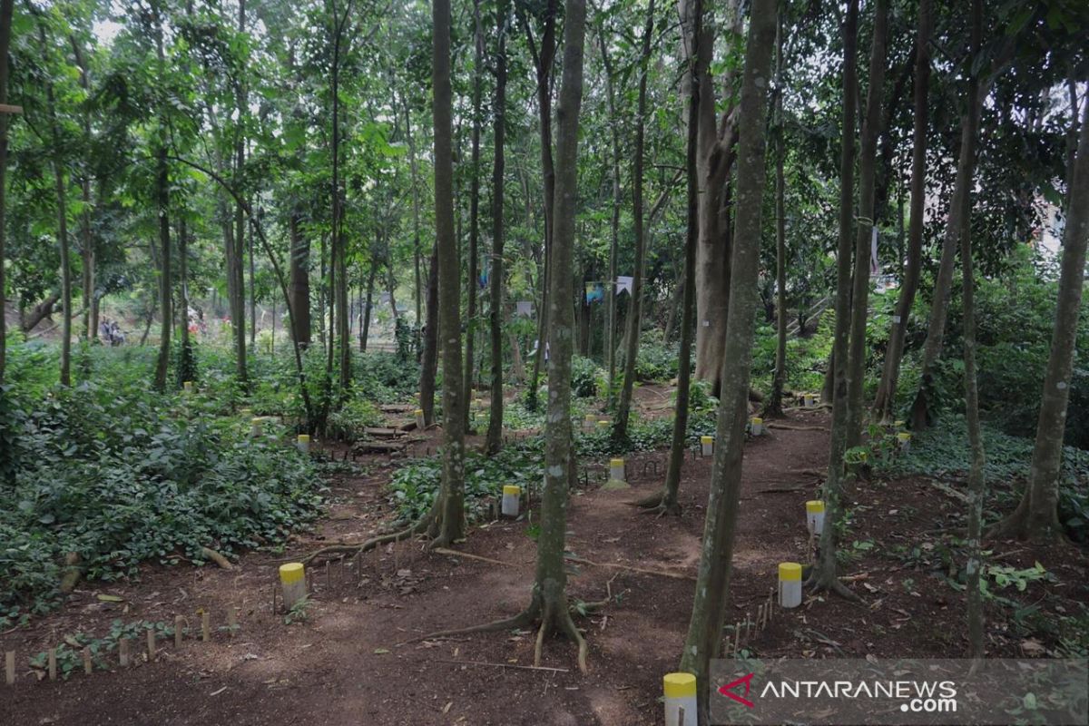 Hutan kampung di Kota Bogor berpotensi jadi objek wisata baru