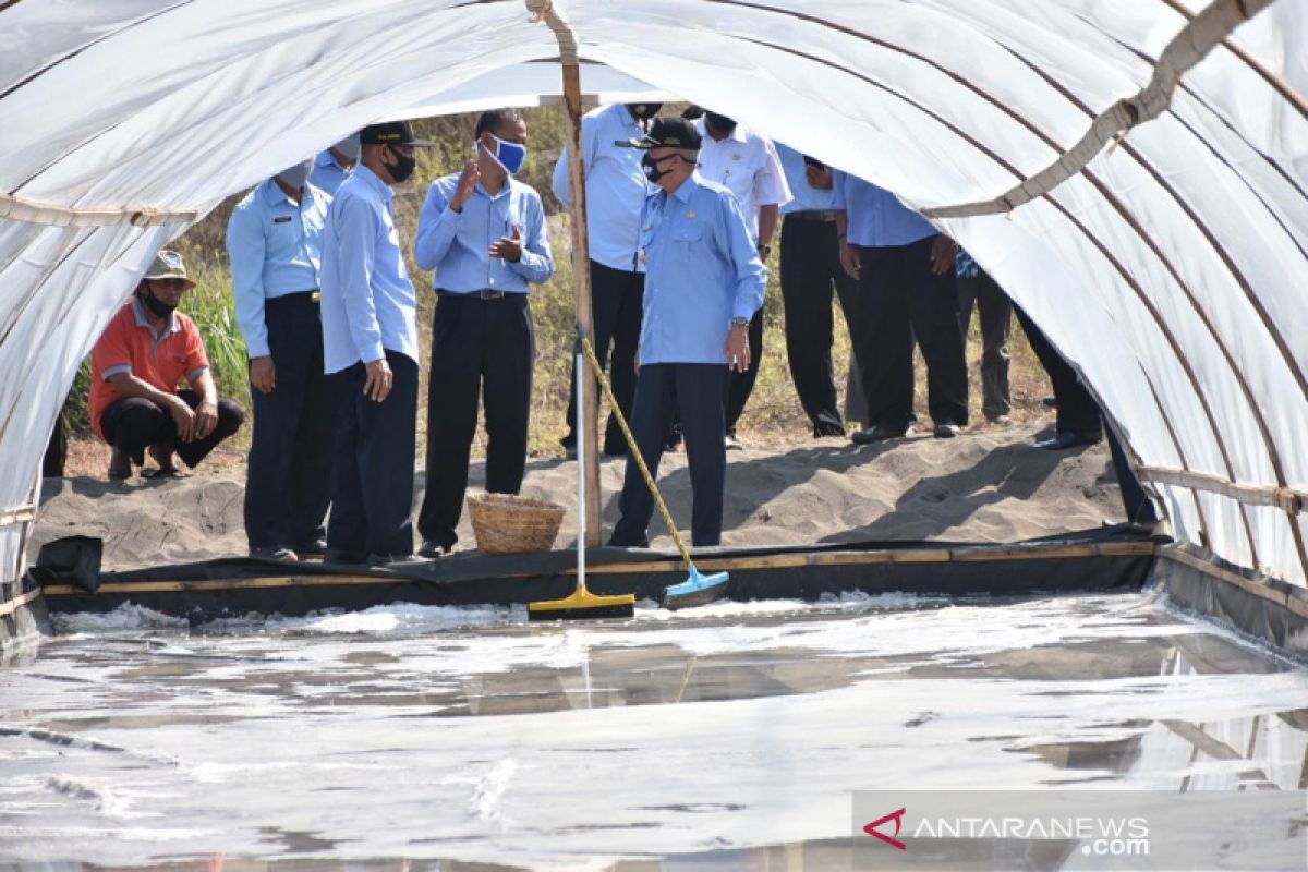 Bupati Bantul meninjau lokasi pengembangan usaha garam rakyat