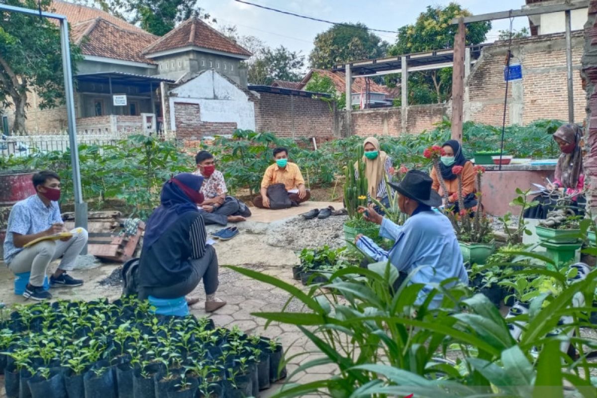 Bimbingan serta ujian skripsi di kebun itu mengasyikkan