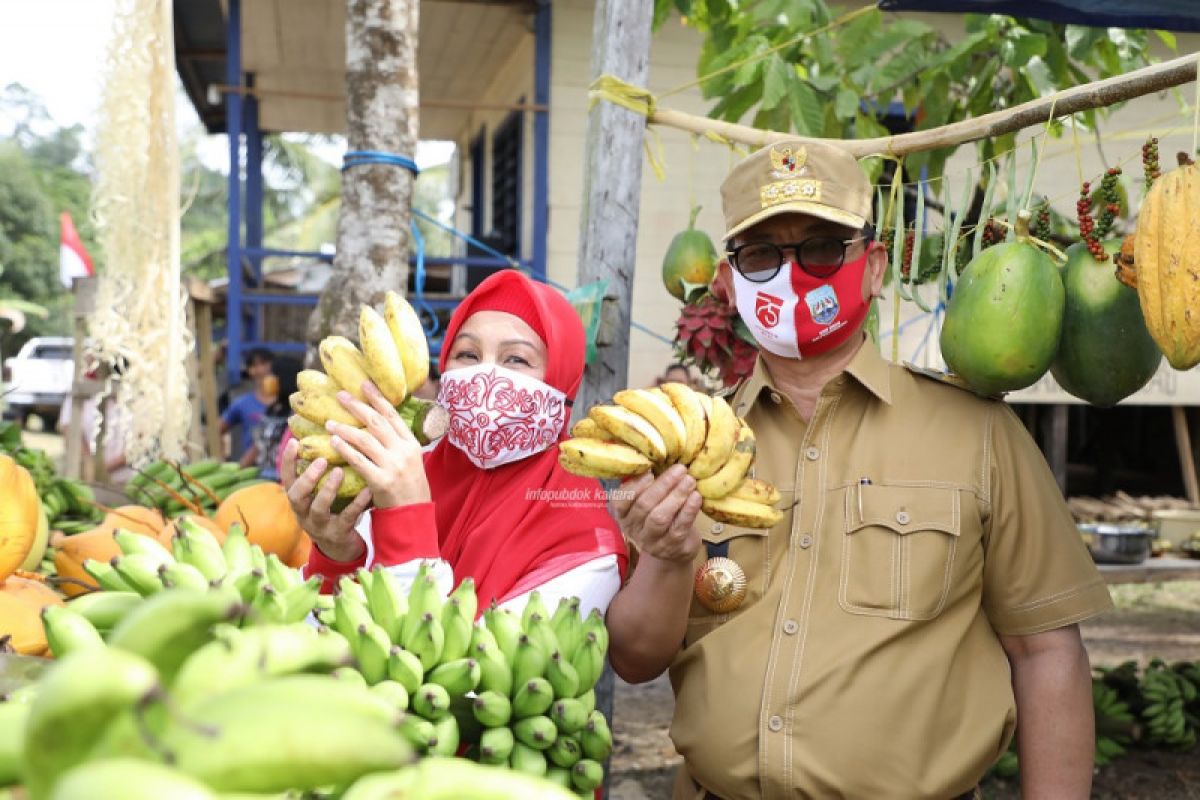 Temui Warga KM 56, Gubernur Serahkan Alat Pertanian